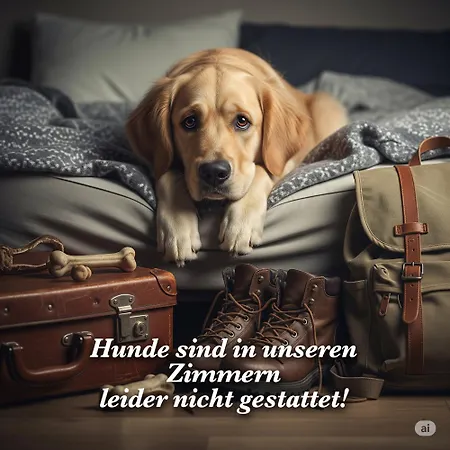 מלון Boutique-pension Jaegerwirt